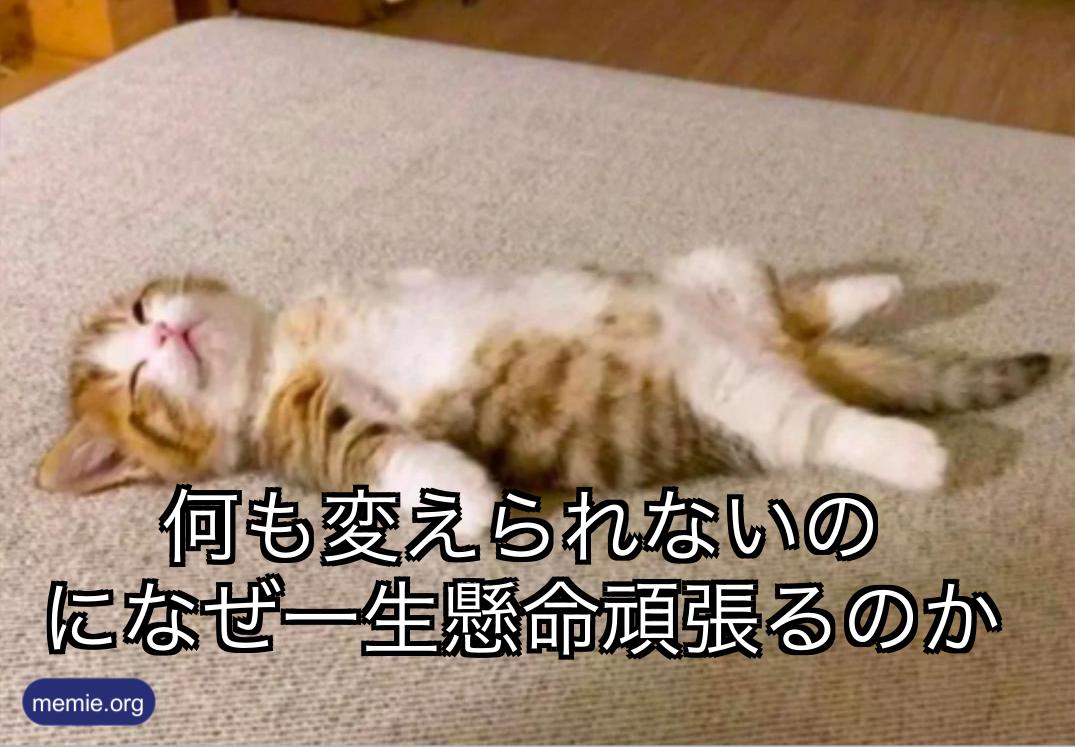何も変えられないのになぜ一生懸命頑張るのか